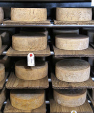Charger l&#39;image dans la galerie, Mordue de fromage
